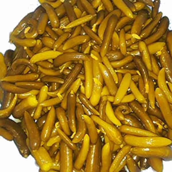 تصویر 4 از فروش خیارشور سوپر + قیمت خرید به صرفه